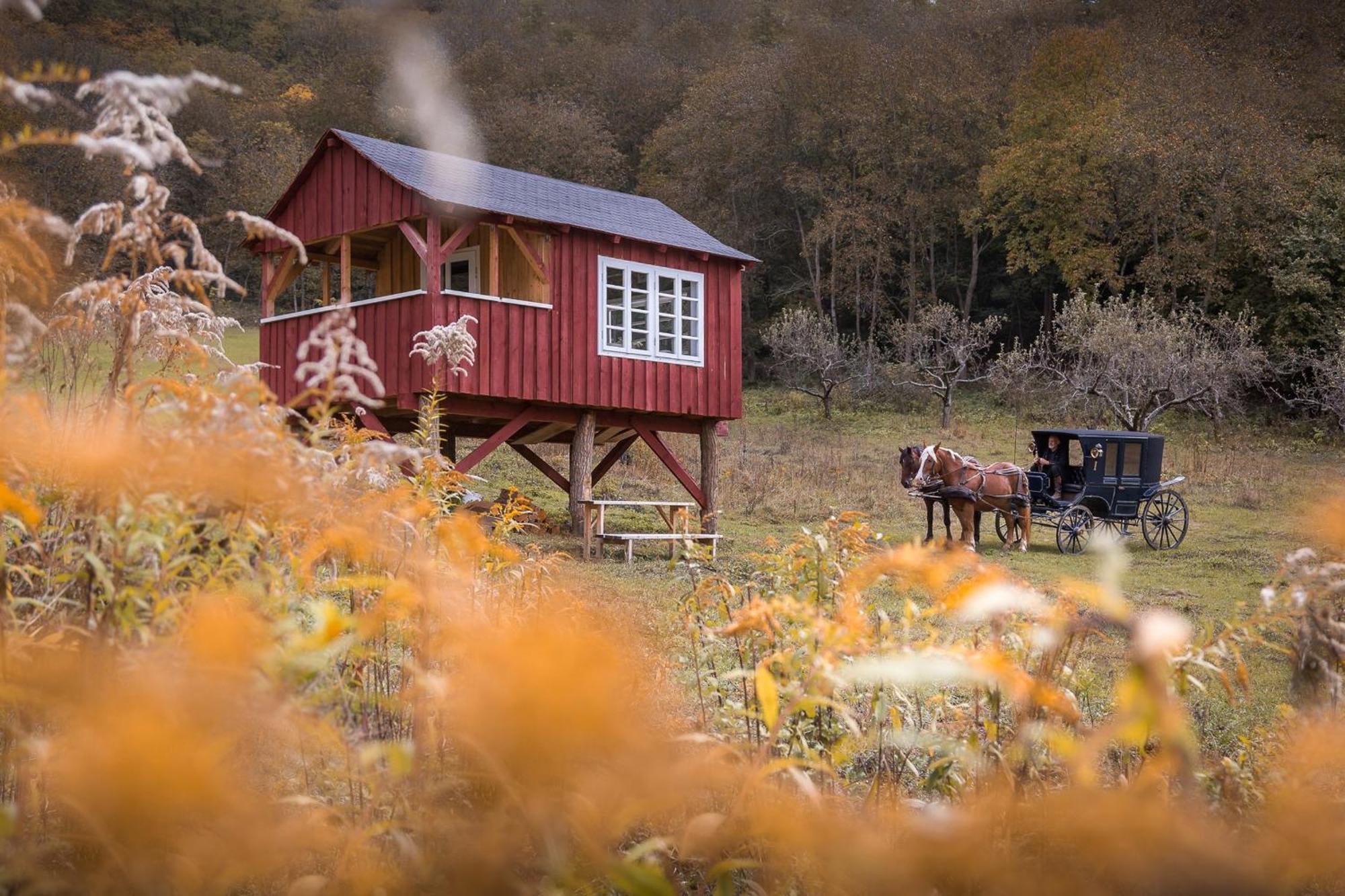 Valea Verde Retreat Transilvania Cund ภายนอก รูปภาพ